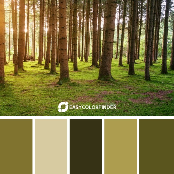 brown trees on green grass field during daytime