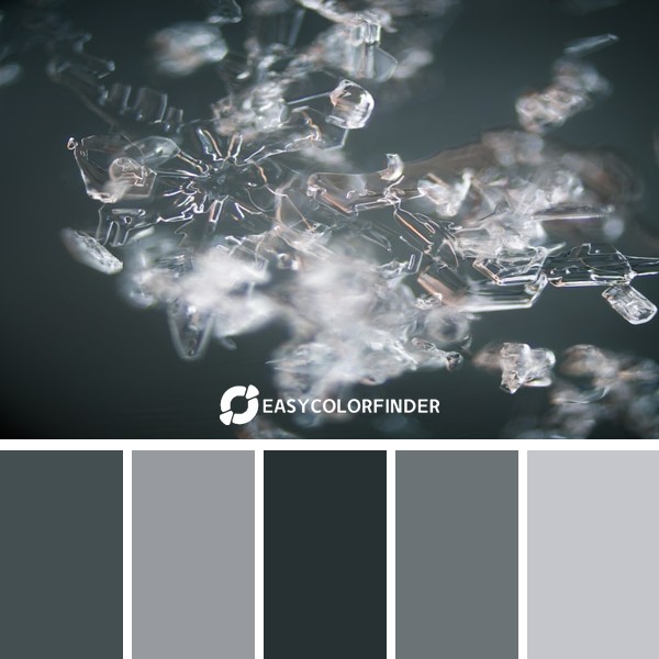 Color Palette 183 | Close-Up Snowflake Frost Photo