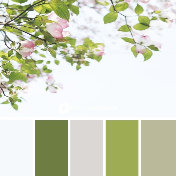 Color Palette 258 | Dogwood Flower