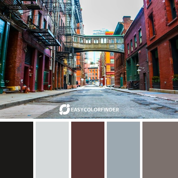 Color Palette 1196 | empty road between brown buildings during daytime