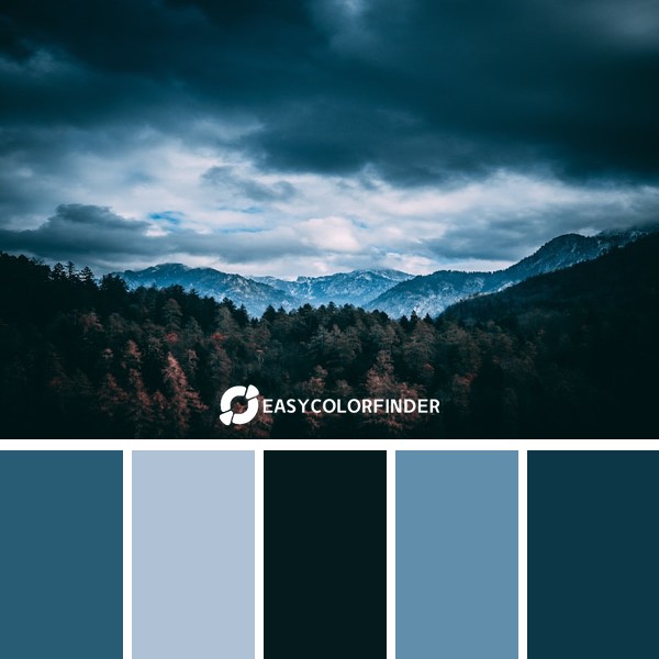 forest and mountains under gray clouds