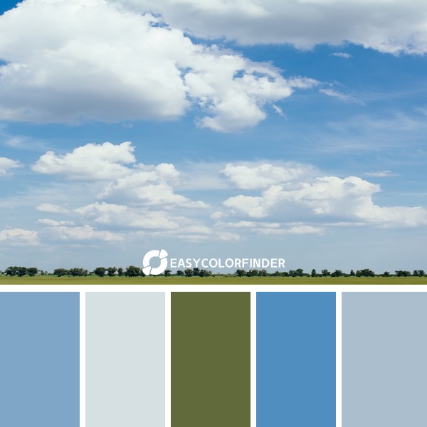 grass field at daytime