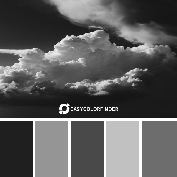 Color Palette 193 | Grayscale Cloud Image