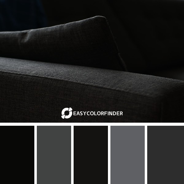Color Palette 1785 | grayscale photography of sofa