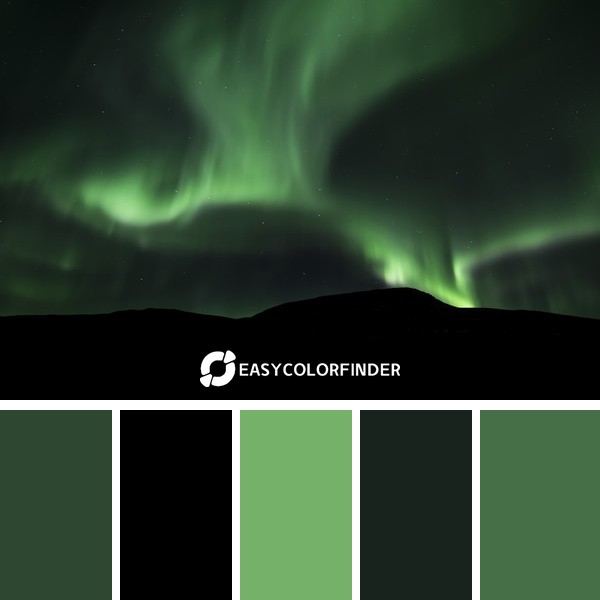 Color Palette 124 | Green Northern Lights Night Sky