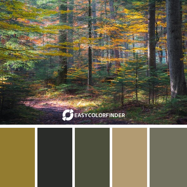 green and brown trees during daytime
