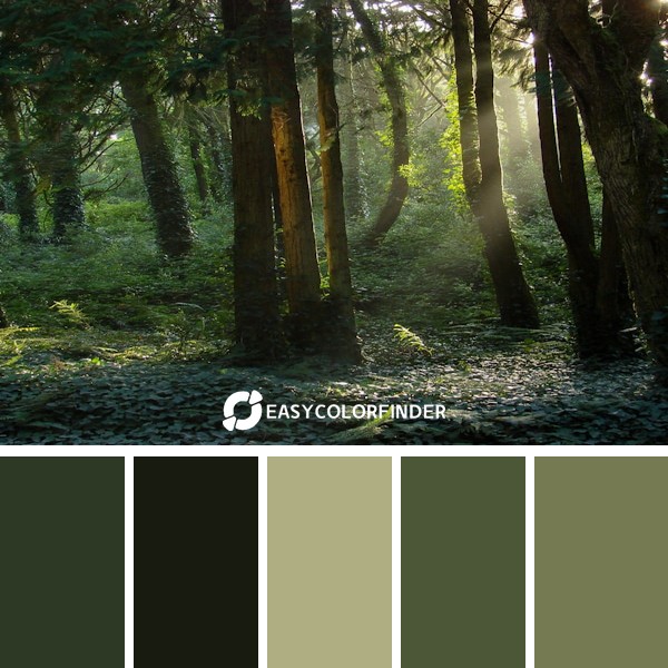 green forest
