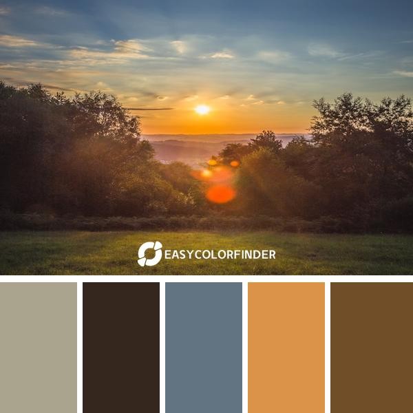 green grass and shrubs during golden hour