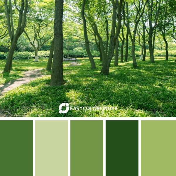 green grass and trees during daytime