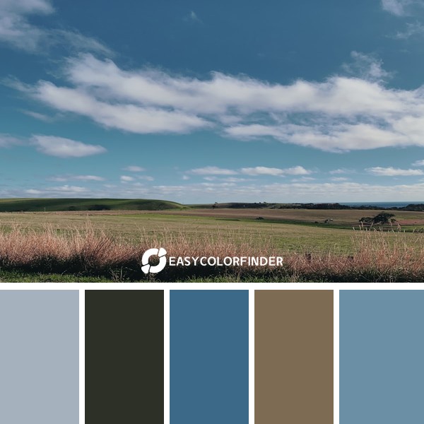 Color Palette 1186 | green grass field