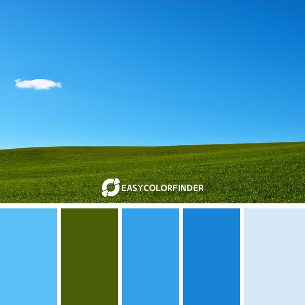 Color Palette 857 | green grass field under blue sky