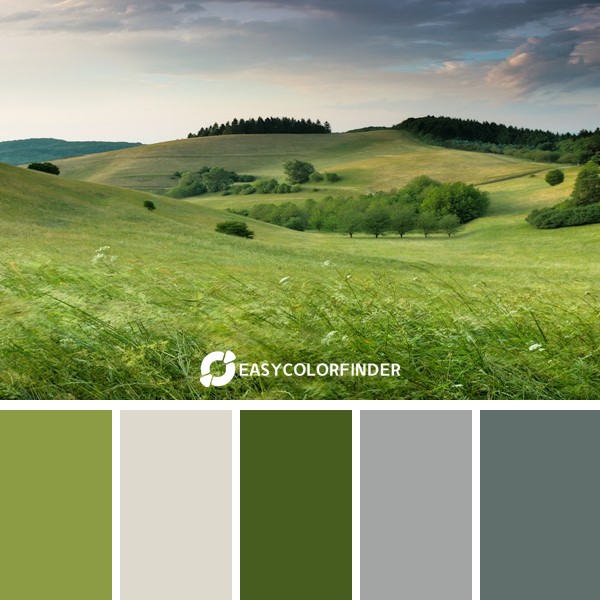 Color Palette 164 | Green Hills Under Cloudy Sky During Daytime