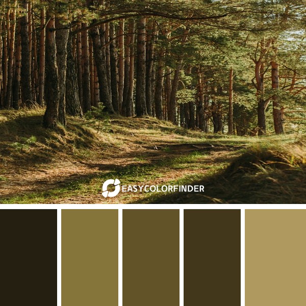 Color Palette 870 | green leafed trees