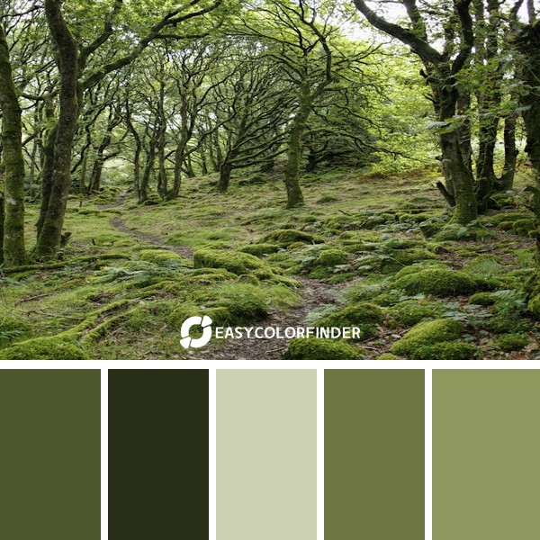green leaftrees during daytime