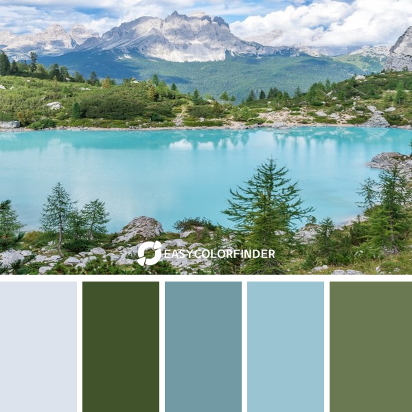 green pine trees near teal water at daytime