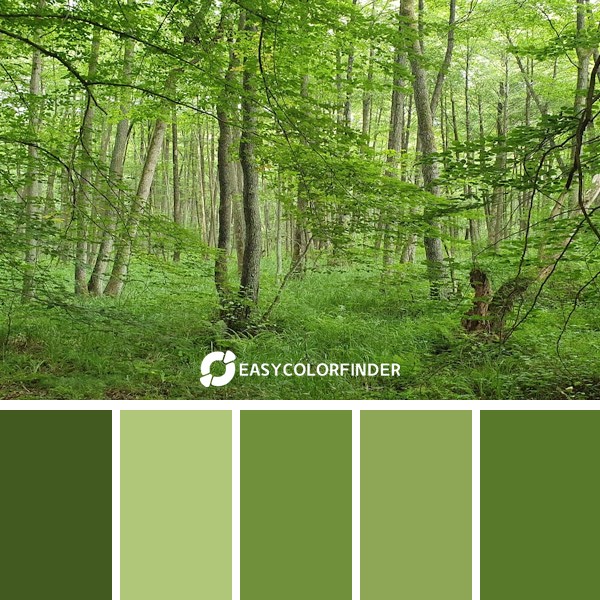 green trees and green grass during daytime