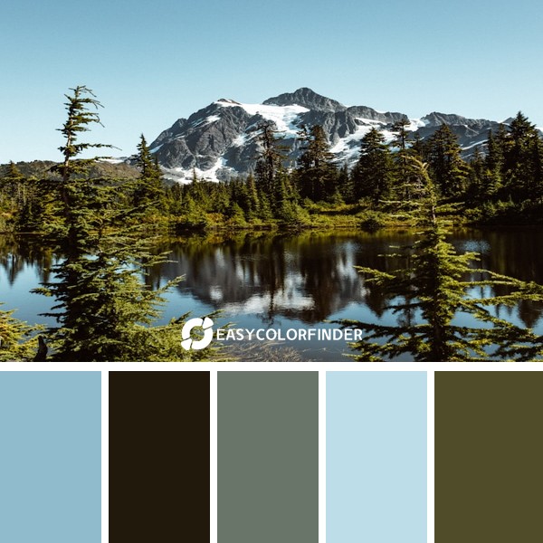 Color Palette 1824 | green trees near snow covermountain during daytime