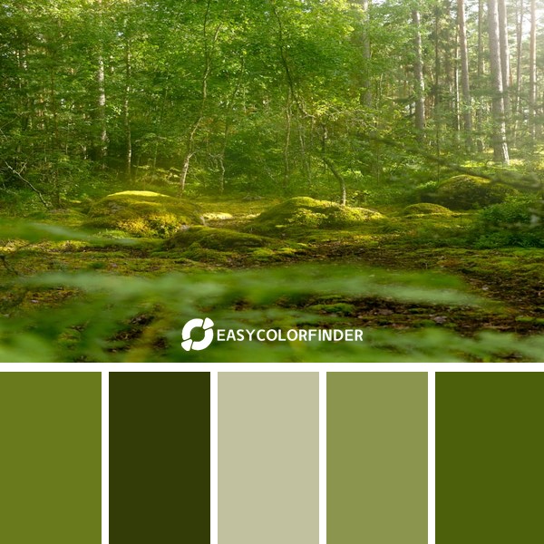 Color Palette 901 | green trees on green grass field during daytime