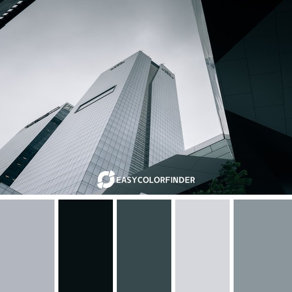 high-rise building photography