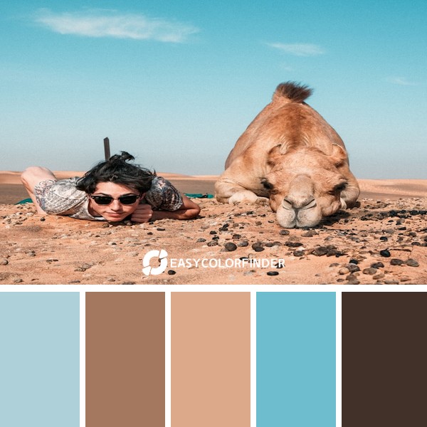 Color Palette 83 | Man & Camel