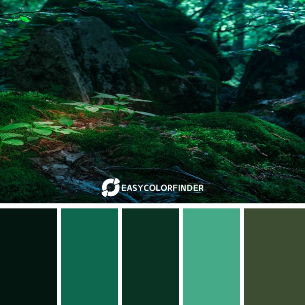 my house is near the forest so this is a blessing.