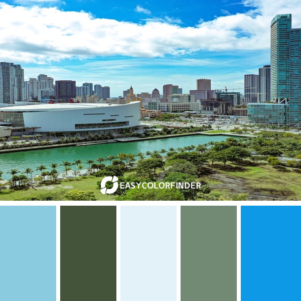Color Palette 957 | park drone Miami