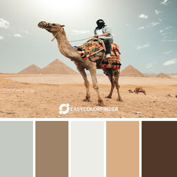 Color Palette 637 | person riding camel