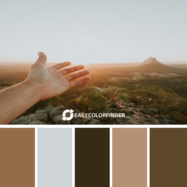 Color Palette 114 | Sunrise Forest Aerial View