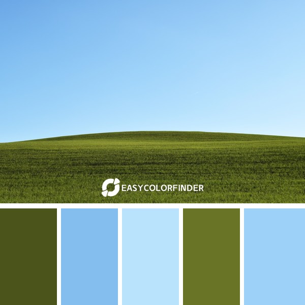 Color Palette 1025 | photo of green grass field