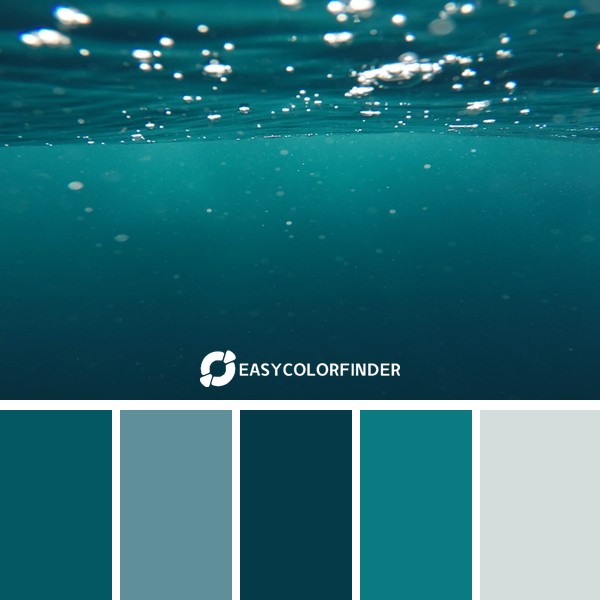 photo of underwater