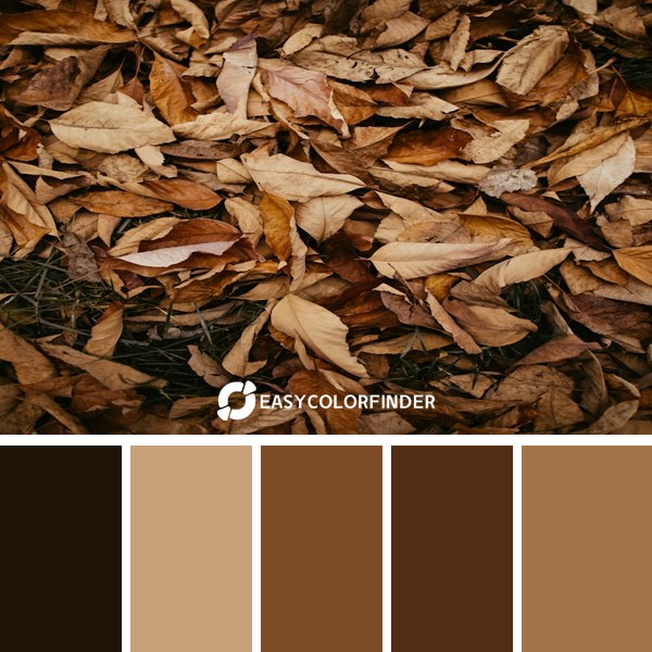 Color Palette 194 | Brown Wilted Leaves Pile