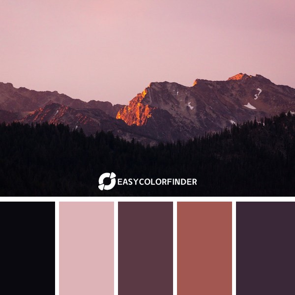 pine fores with mountain background
