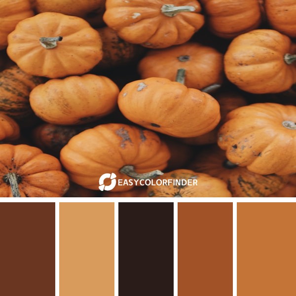 Color Palette 182 | pumpkin lot