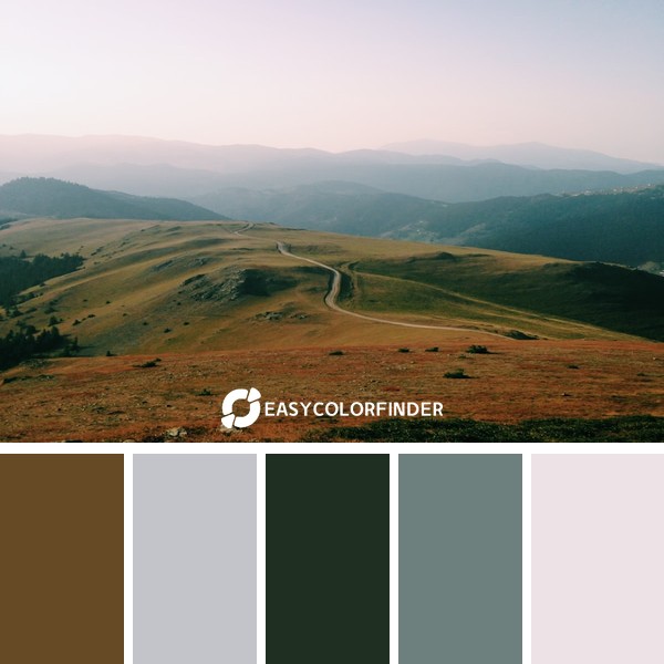 road in the middle of grass coverfield during day