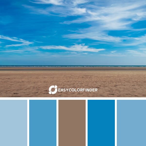 seashore during daytime