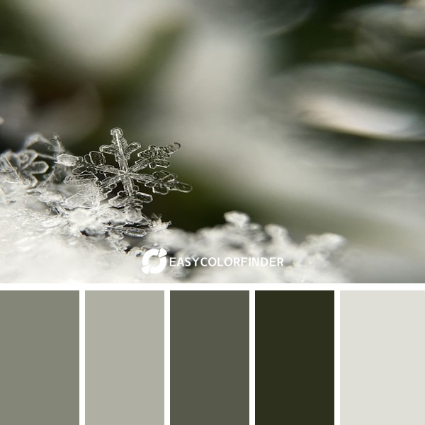 Color Palette 153 | Selective Focus Snowflake Photography