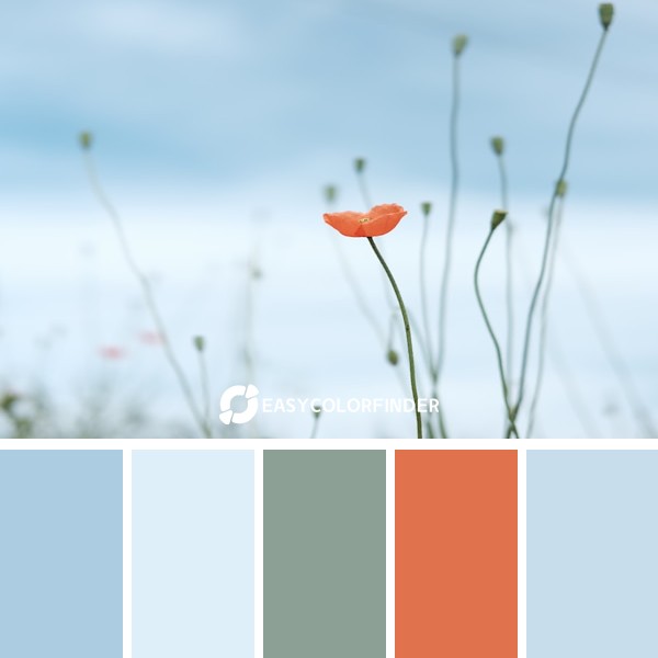 Color Palette 253 | Selective Photo of Petaled Flower