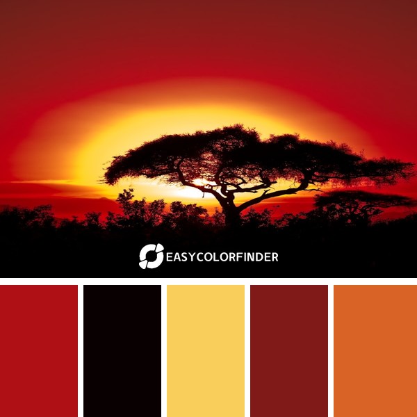 silhouette photo of trees