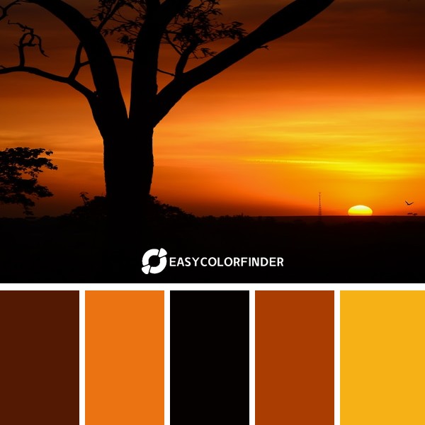 silhouette tree of golden hour