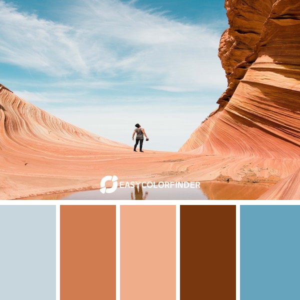 Color Palette 115 | Photo by Christopher Ruel