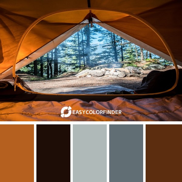 Color Palette 1270 | squamish valley on the edge of British Columbia