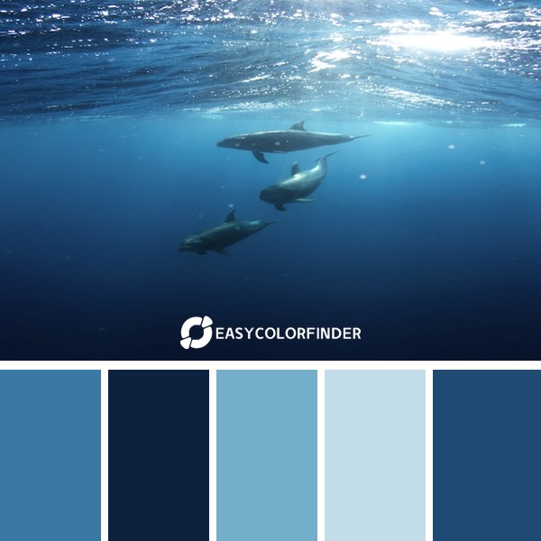 three shark underwater