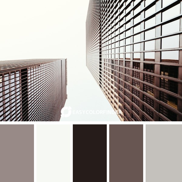 Color Palette 1275 | toronto
