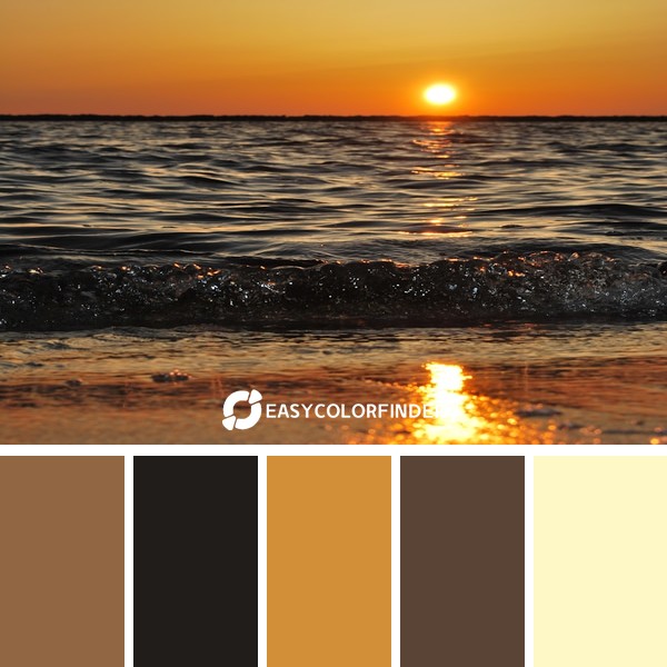 Color Palette 213 | Sunrise at Beach