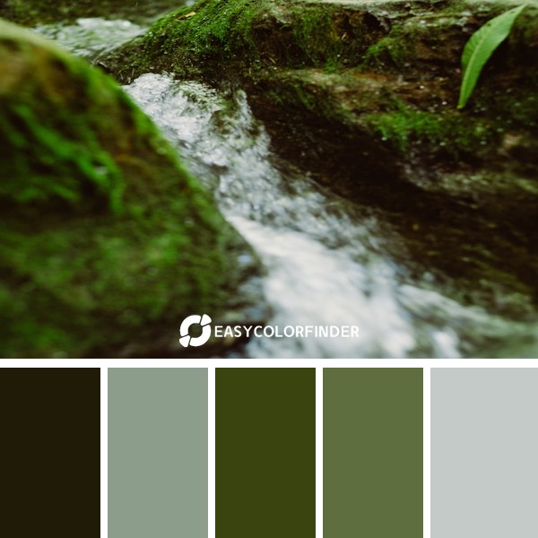 water flower through rocks