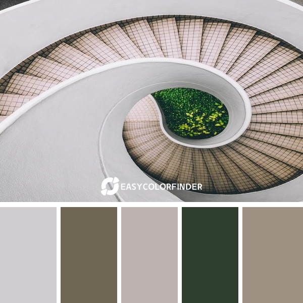 Color Palette 139 | White & Brown Concrete Spiral Stairs