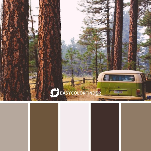 white and green van passing green leaftrees