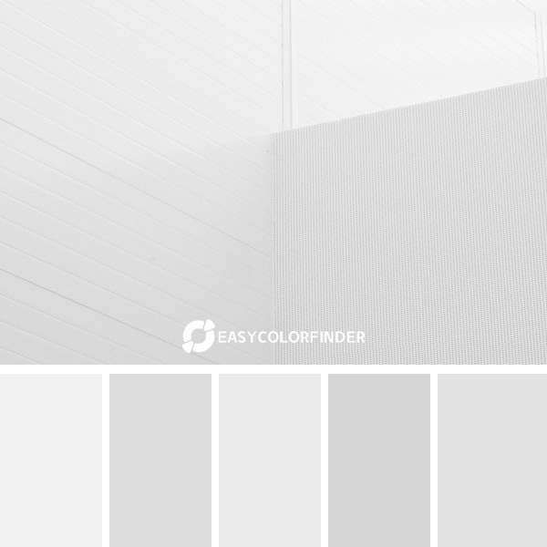 Color Palette 98 | White Concrete Wall