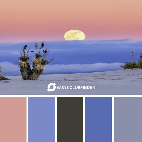 Color Palette 151 | White Sand