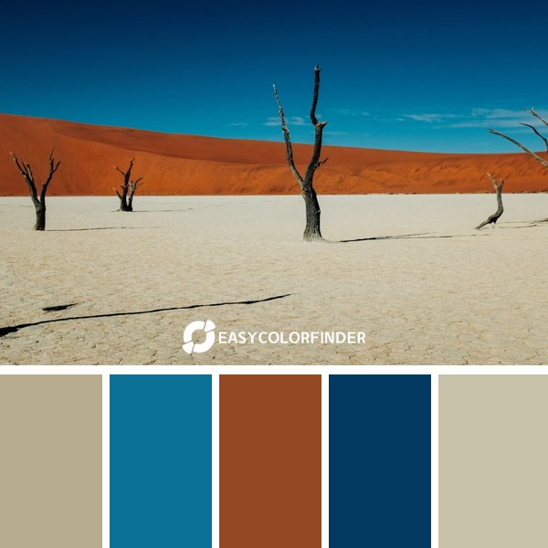 withertrees under clear blue sky